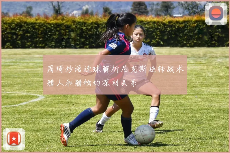 周琦妙语连珠解析尼克斯逆转战术猎人和猎物的深刻关系