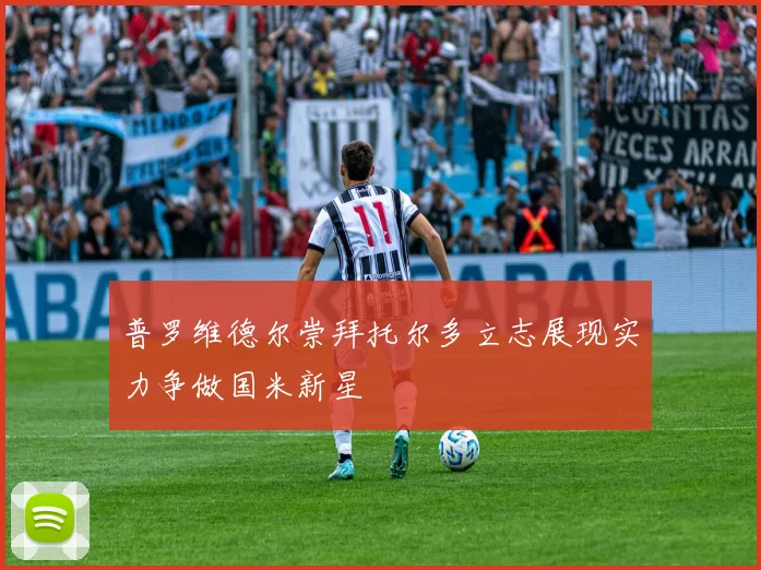普罗维德尔崇拜托尔多立志展现实力争做国米新星