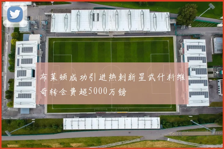 布莱顿成功引进热刺新星武什科维奇转会费超5000万镑