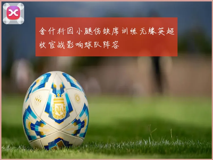 舍什科因小腿伤缺席训练无缘英超收官战影响球队阵容